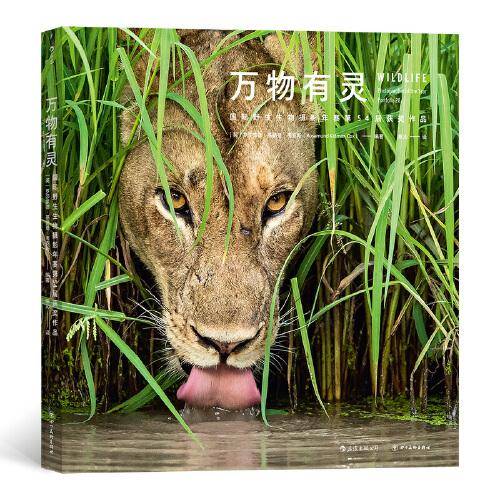 万物有灵：国际野生生物摄影年赛第54届获奖作品