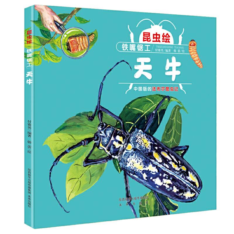 昆虫绘