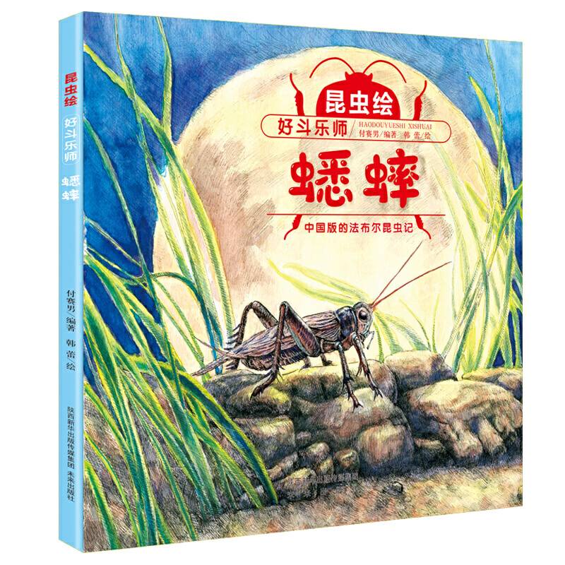 昆虫绘