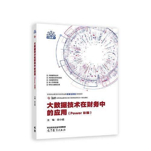 大数据技术在财务中的应用（Power BI版）