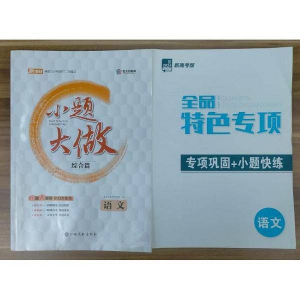 小题大做语文
