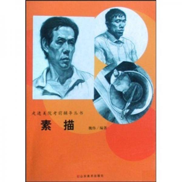 走进美院考前辅导丛书：素描