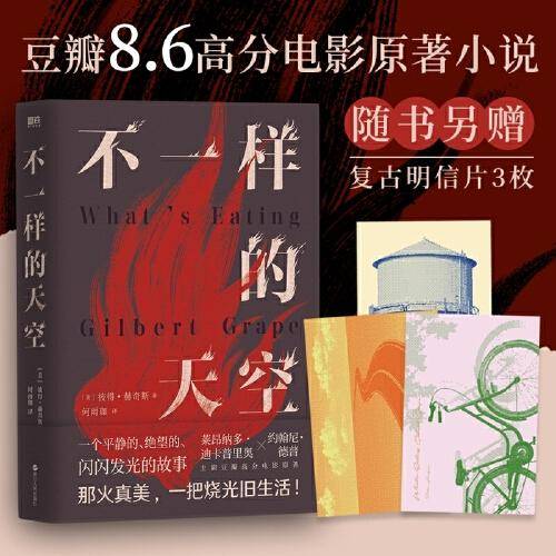 不一样的天空