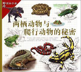 两栖动物与爬行动物的秘密