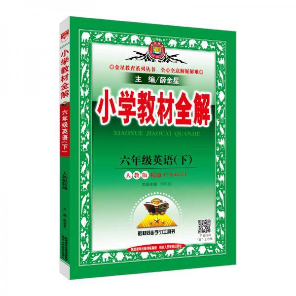 小学教材全解 六年级英语下 人教版 RJ  精通 2018春
