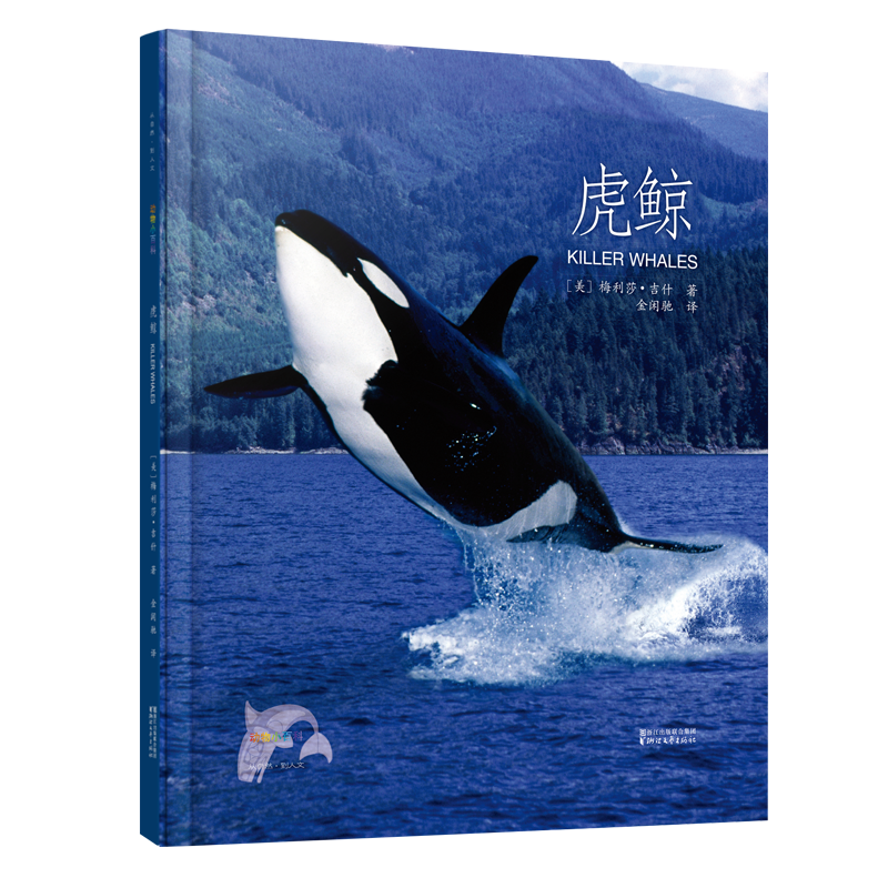 动物小百科：虎鲸