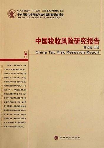 中国税收风险研究报告