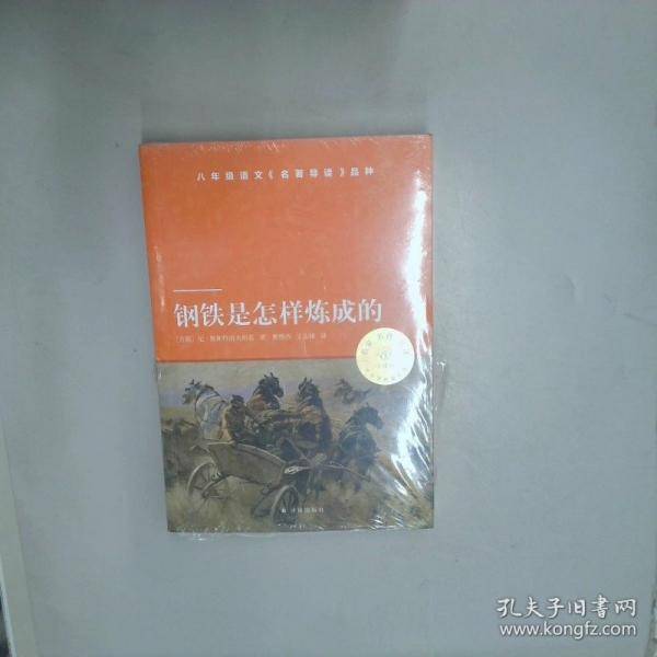 中小学阅读丛书 钢铁是怎样练成的