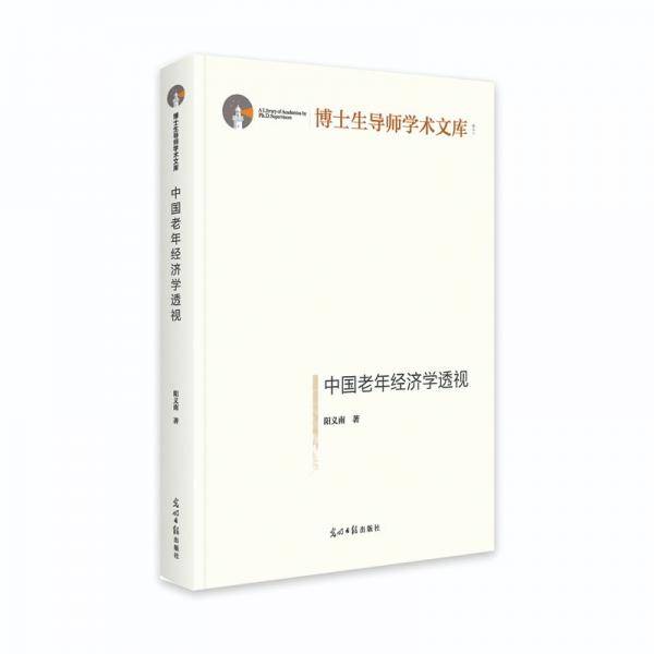 中国老年经济学透视