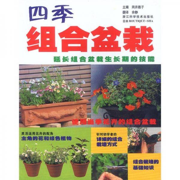 四季组合盆栽
