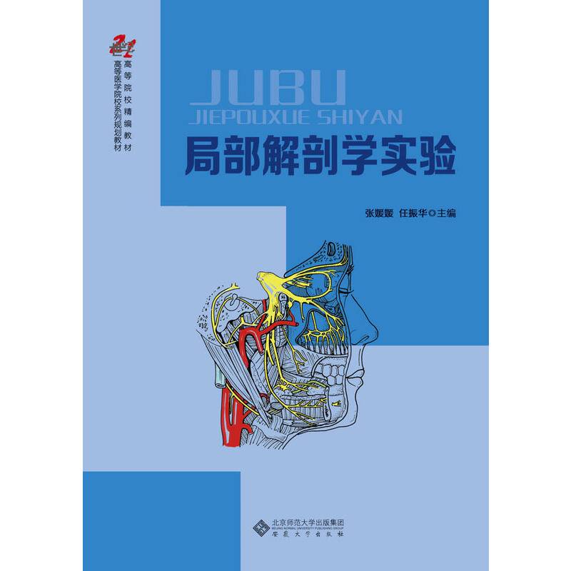 局部解剖学实验