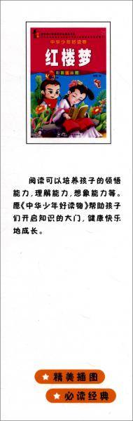 红楼梦（彩图注音版）/中华少年好读物