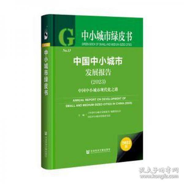 中国中小城市发展报告/中小城市绿皮书