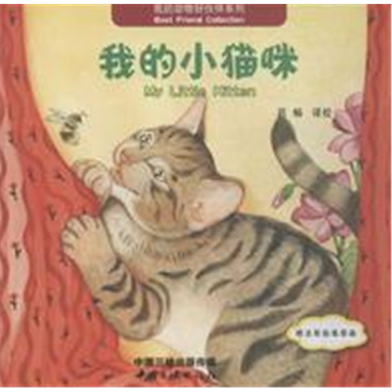 我的小猫咪