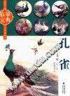临摹宝典・中国画技法：孔雀