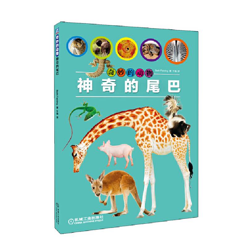 奇妙的动物