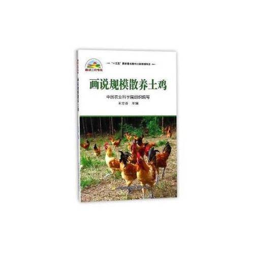 画说规模散养土鸡