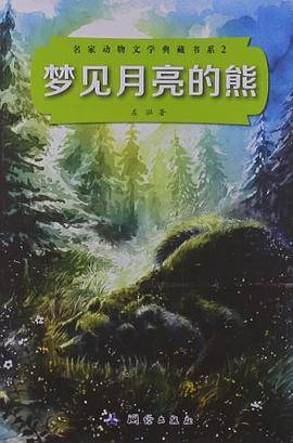 梦见月亮的熊