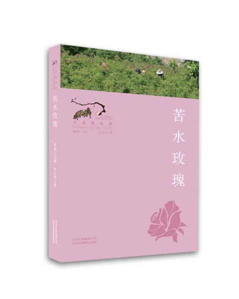 苦水玫瑰