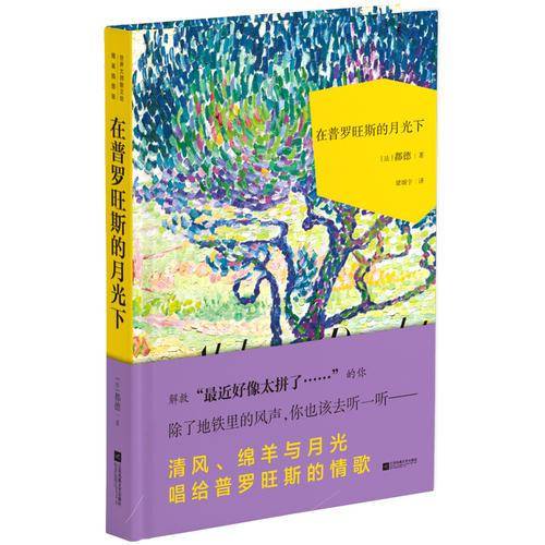 在普罗旺斯的月光下