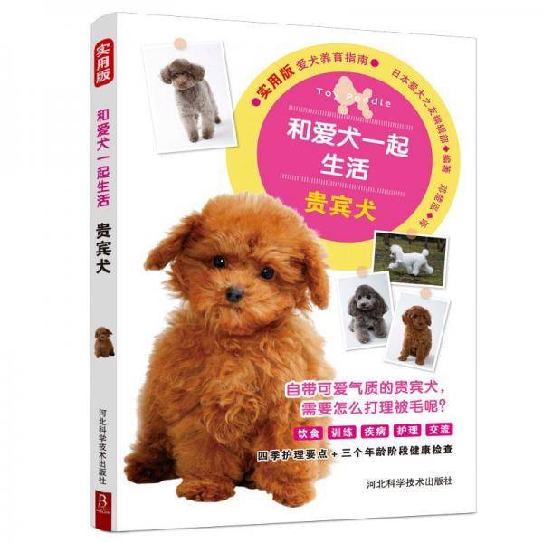 和爱犬一起生活：贵宾犬
