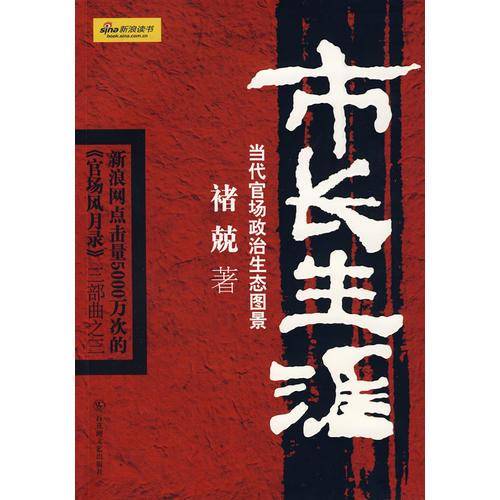 市长生涯