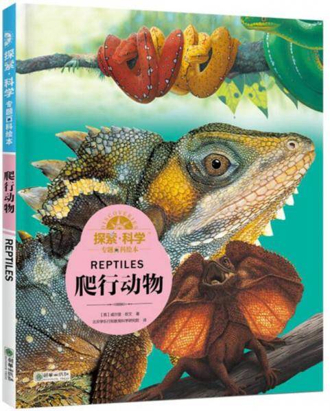爬行动物