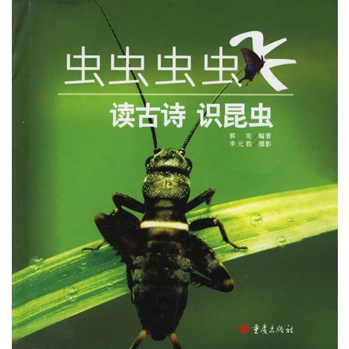 虫虫虫虫飞
