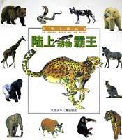 陆上动物霸王
