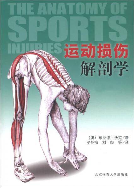 运动损伤解剖学