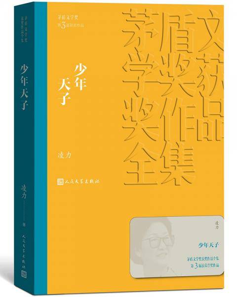 少年天子