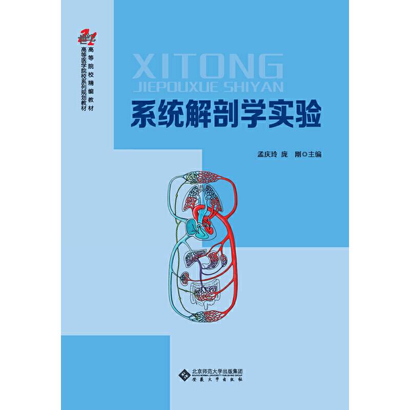 系统解剖学实验