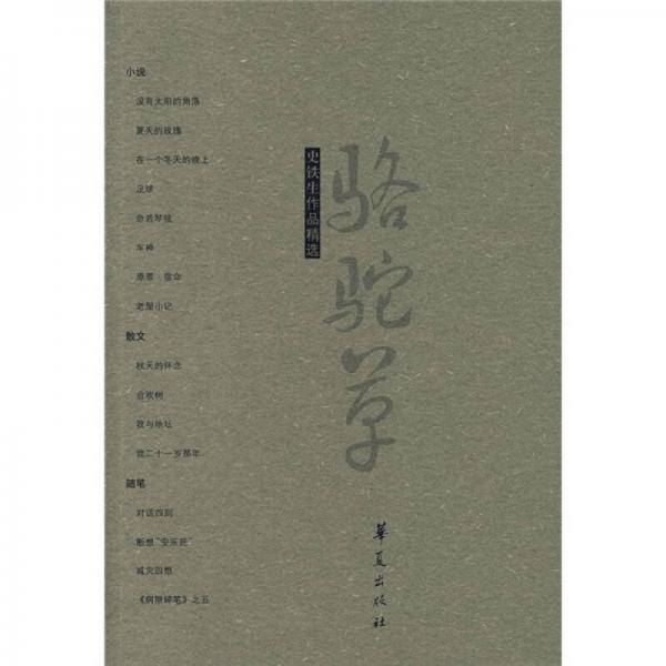 史铁生作品精选