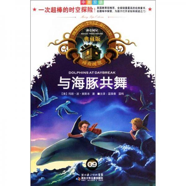 与海豚共舞