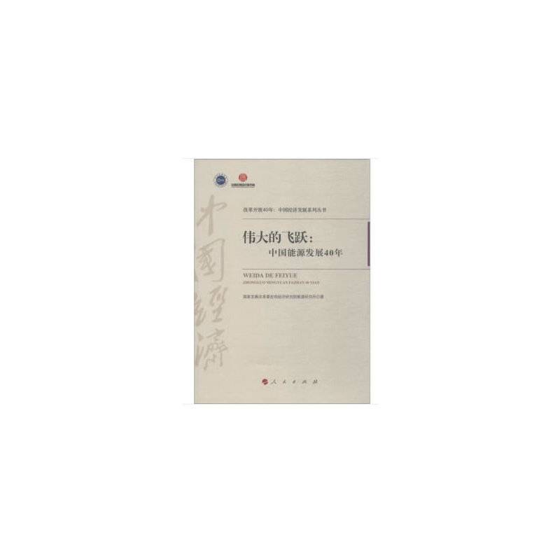 伟大的飞跃：中国能源发展40年/改革开放40年：中国经济发展系列丛书