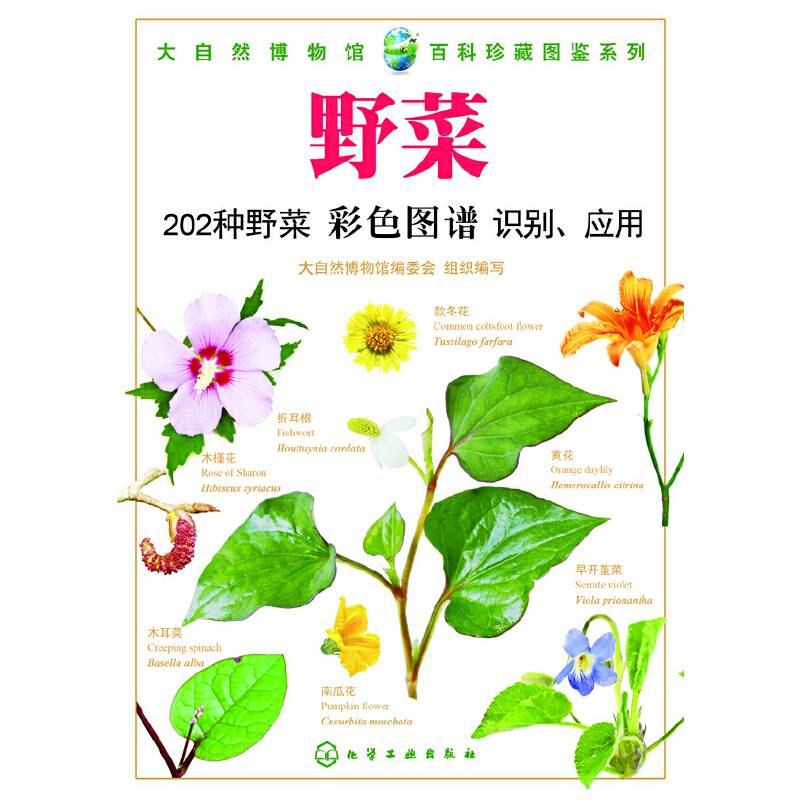 大自然博物馆・百科珍藏图鉴系列--野菜