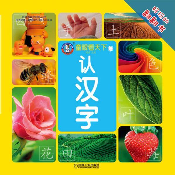 童眼看天下 认汉字