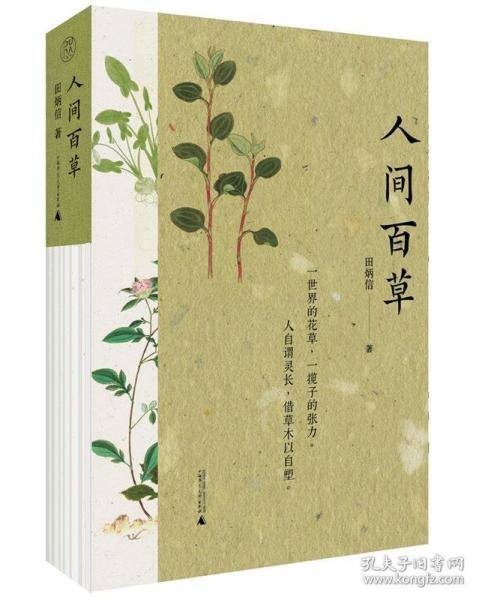 纯粹·人间百草