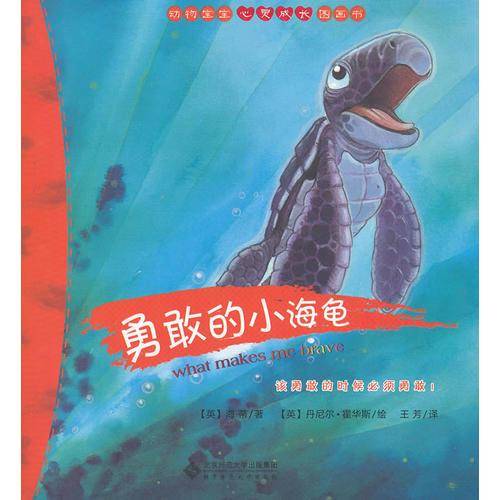 勇敢的小海龟