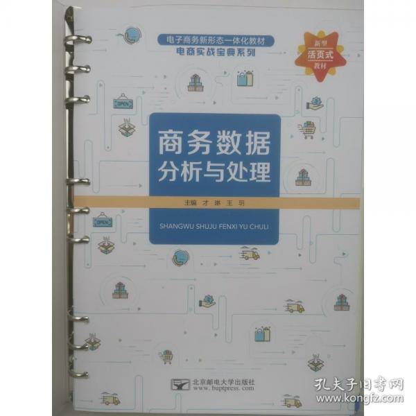 商务数据分析与处理 才琳