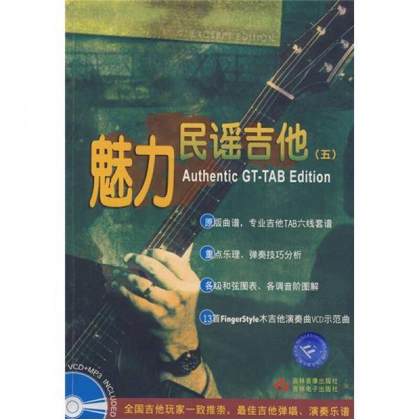 魅力民谣吉他5