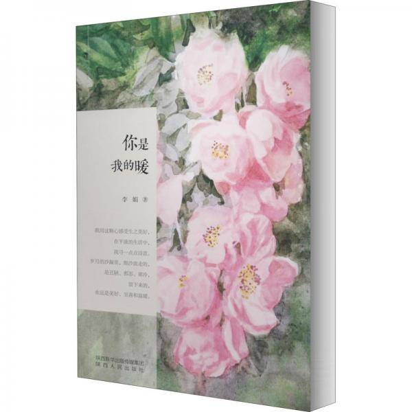 你是我的暖/长安文心书系