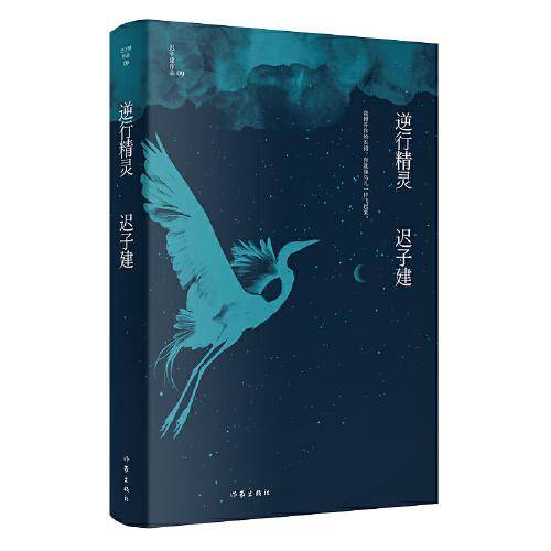 逆行精灵（茅盾文学奖、鲁迅文学奖得主迟子建小说代表作）