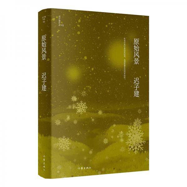 原始风景（茅盾文学奖、鲁迅文学奖得主迟子建小说亲选集，四段童年视角的家族故事，重温原始的纯真）