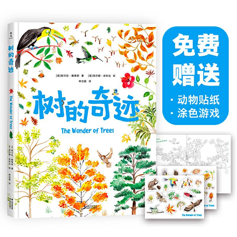 树的奇迹