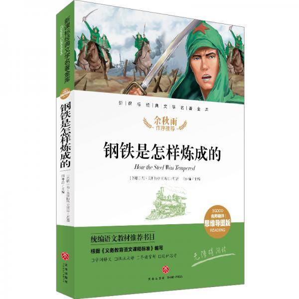 钢铁是怎样炼成的 经典文学名著金库（名师精评思维导图版）