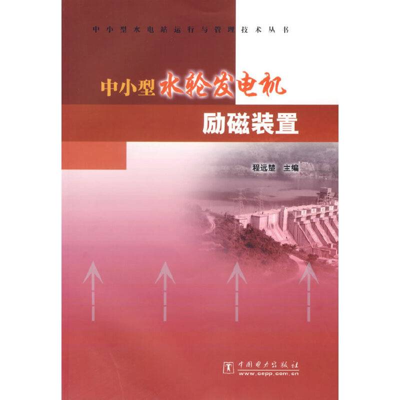 中小型水轮发电机励磁装置