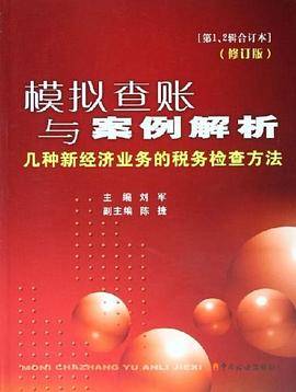 模拟查账与案例解析