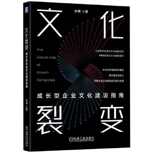 文化裂变：成长型企业文化建设指南 孙晖
