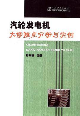 汽轮发电机大修难点分析与实例